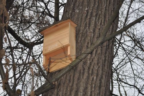 Foto: Nové budky pro ptáky, netopýry a veverky v Městských sadech v Pelhřimově