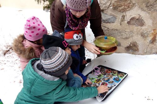 Foto: Děti z jihlavského Klubíčka pozorovaly ptáčky a zúčastnily se soutěže v zoo
