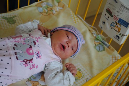 Foto: Novorozené děti v nemocnicích v Třebíči a Jihlavě bude hlídat 15 nových monitorů dechu 