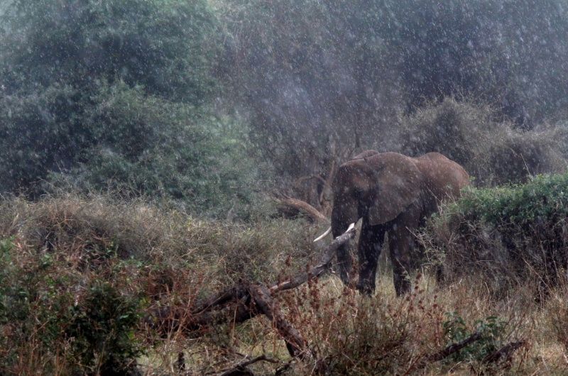 Africké setkání ve Třech Studních