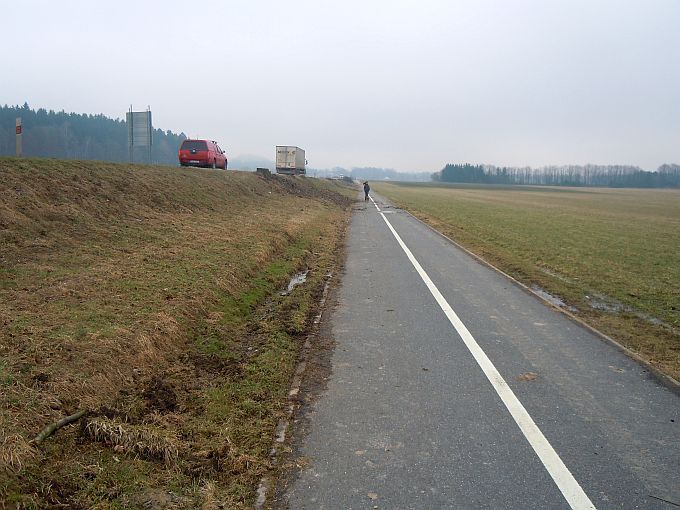 Alej mezi Ždírcem a Krucemburkem vyroste znovu?