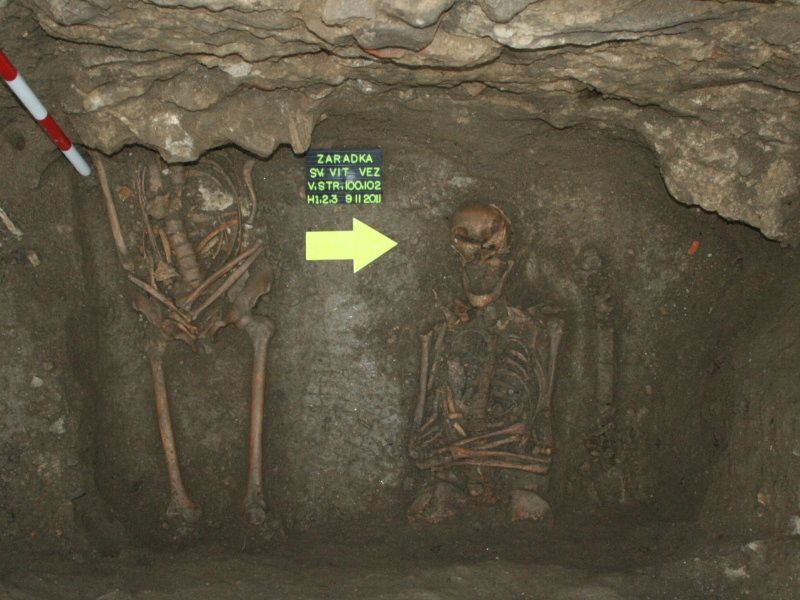 /uws_images/firmy/083199/clanky/archeologicky-vyzkum-u-kostela-sv-vita-v-zahradce/000002_h.JPG