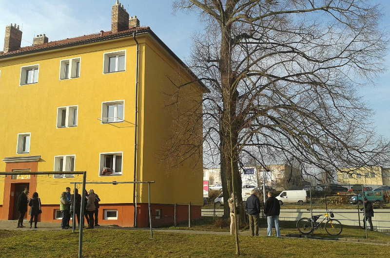 Arnika: Občané se zastali stromu, který zákon nechrání