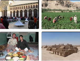 obrázek: Autostopem rozmanitou Sýrií