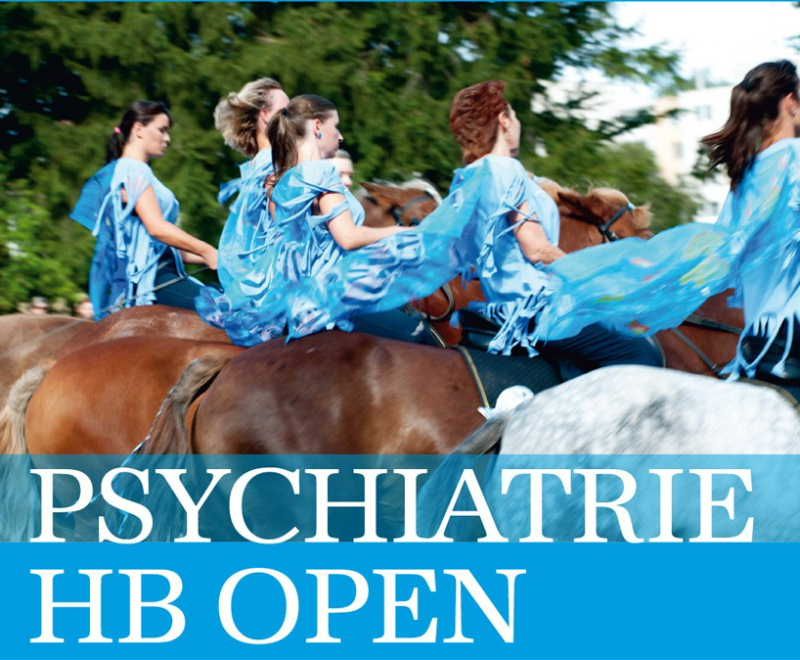 Benefice v psychiatrické léčebně aneb Psychiatrie HB OPEN