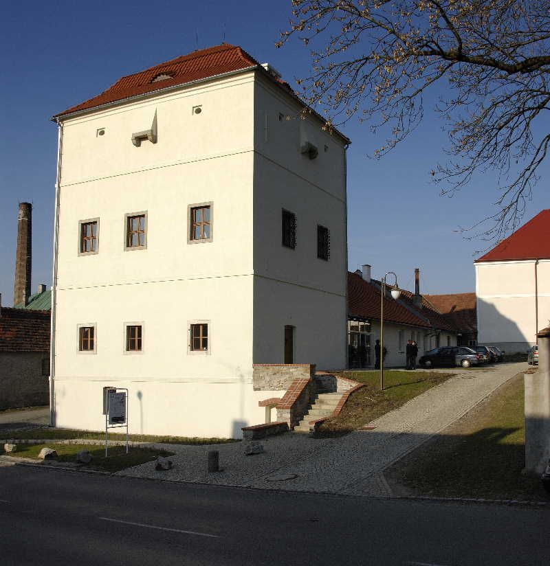 Běžci vyrazí opět na Běh městem Jarmily Kratochvílové