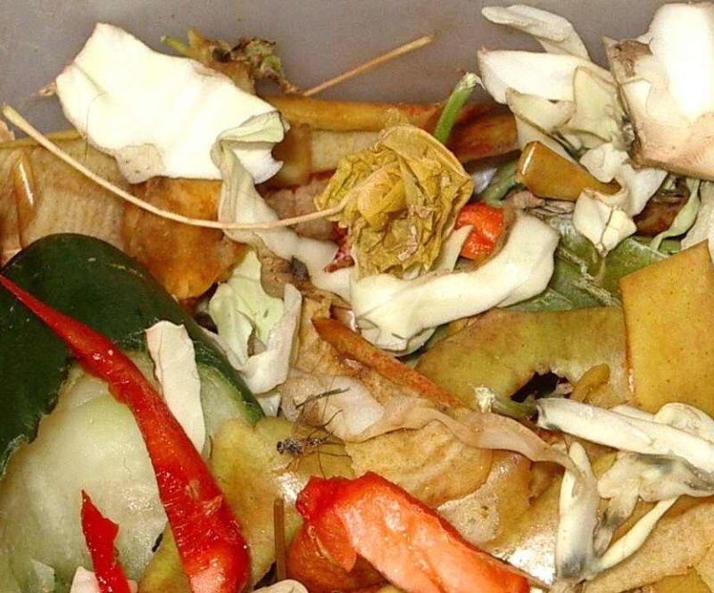 obrázek: Bioodpad se bude třídit i na Slunci