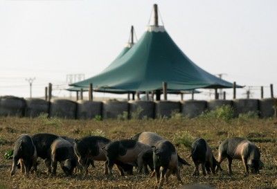 Biozemědělský den a jezdecké závody na Sasově