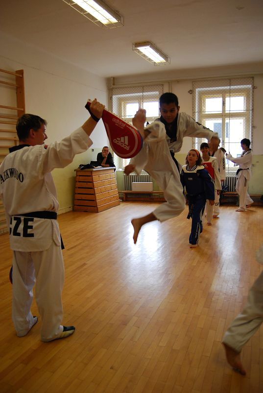 Borci z Vysočiny míří na Czech open 2008 taekwondo