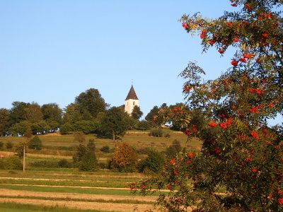 obrázek: Borovská desítka 2014 o víkendu
