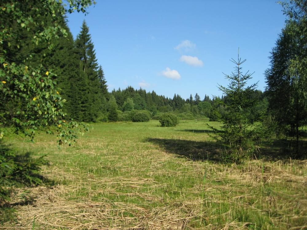 obrázek: Botanická vycházka v Počítkách