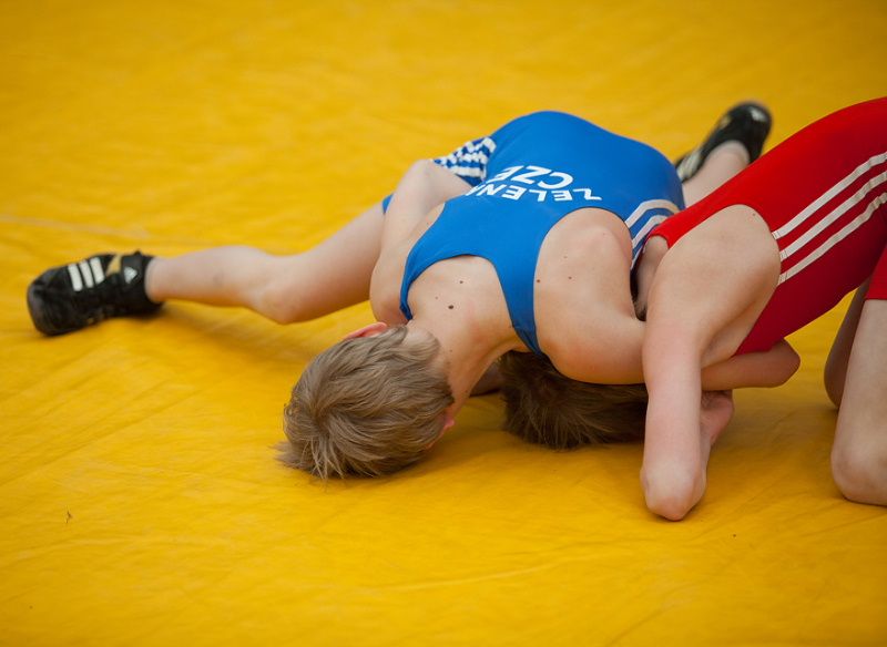 obrázek: Brodský zápasník Michal Zelenka přivezl zlato z Chorvatska