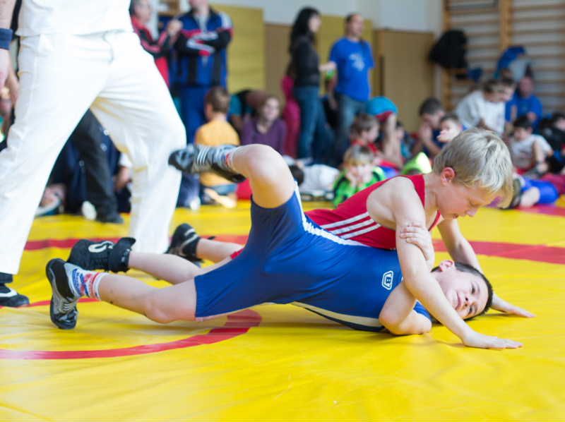 Brodští zápasníci na Hodonínském poháru 2013