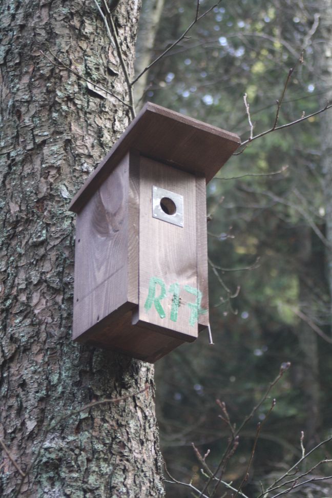 obrázek: Budkování v sobotu na Orlíku
