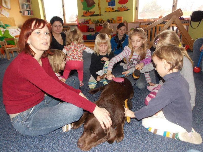 obrázek: Canisterapii