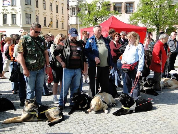 obrázek: Celostátní soutěž nevidomých s vodími psy v Jihlavě