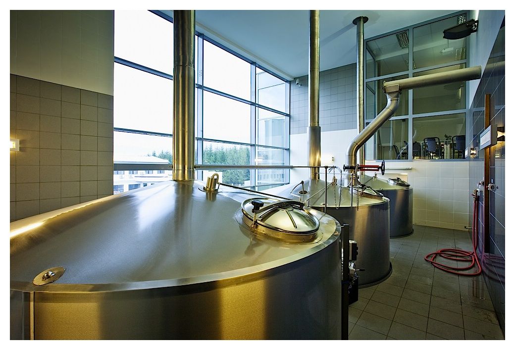 obrázek: Chotěbořský pivovar stabilně roste, tvrdí vedení společnosti