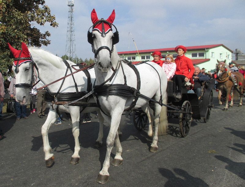 obrázek: Chovatelský den ve Vilémově