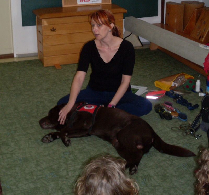 obrázek: Den pro přírodu v Třebíčském centru