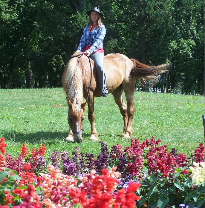 obrázek: Den s koňmi v Dolní Rožínce