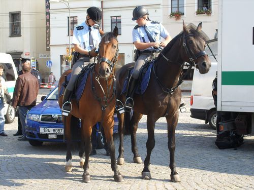 /uws_images/firmy/083199/clanky/den-s-policii-ceske-republiky-v-utery-v-jihlave/000001_h.jpg
