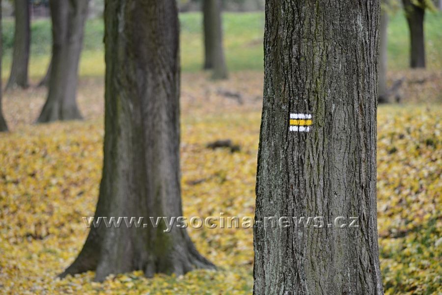 obrázek: Den stromů s Václavem Větvičkou v Brodě