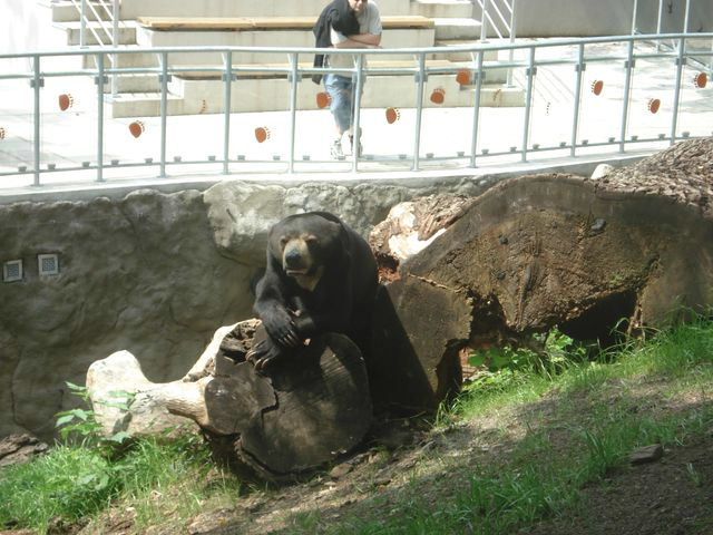obrázek: Den Země v jihlavské Zoo