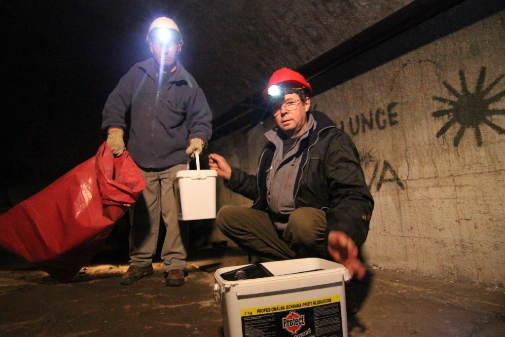 Deratizéři položili v Jihlavě návnady na potkany