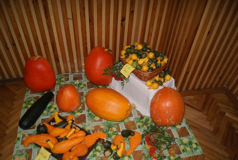 Domamil žila o víkendu výstavou plodů ze zahrádek