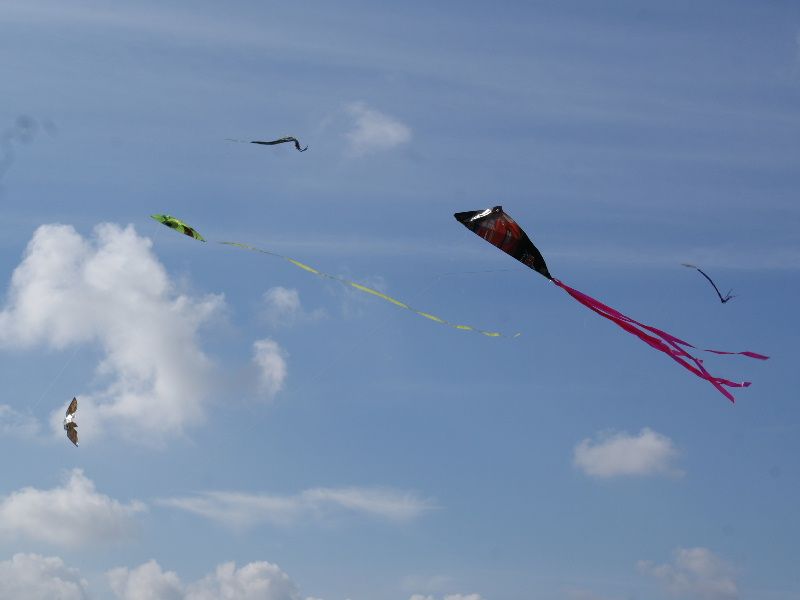 obrázek: Draci na nebi na Jihlavou