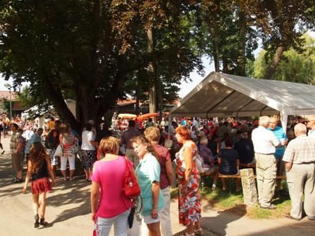 Dvacátá slavnost v Proseči-Obořišti měla úspěch