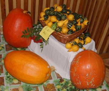 Dýňový lampiónový průvod v Dušejově