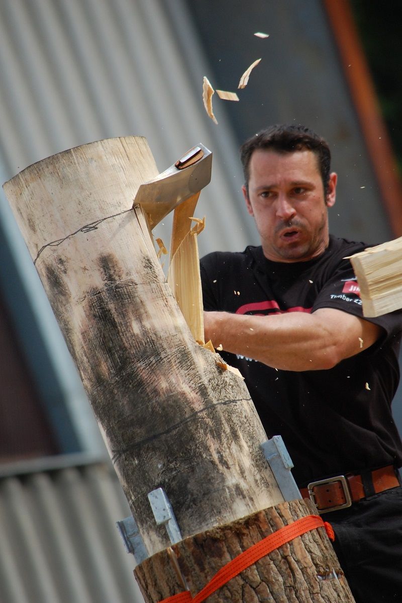 obrázek: Evropská dřevorubecká špička přijíždí do Jihlavy