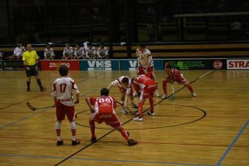 obrázek: Florbalisté z Vysočiny do play-off vstoupili špatně