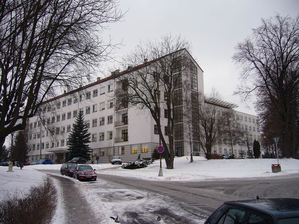 obrázek: FMF centrum v Londýně pomáhá těhotným ženám na Vysočině