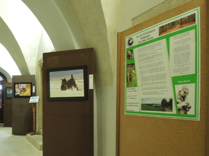 obrázek: Fotovýstava na jihlavské radnici