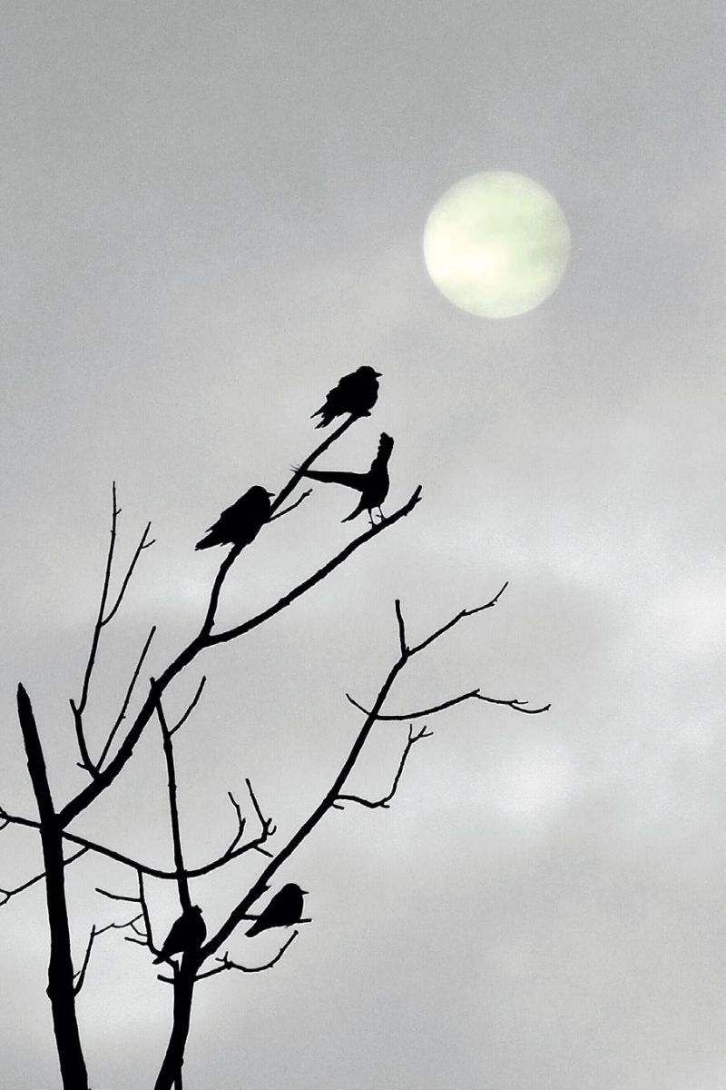 obrázek: Fotovýstava v Havlíčkově domě v Brodě