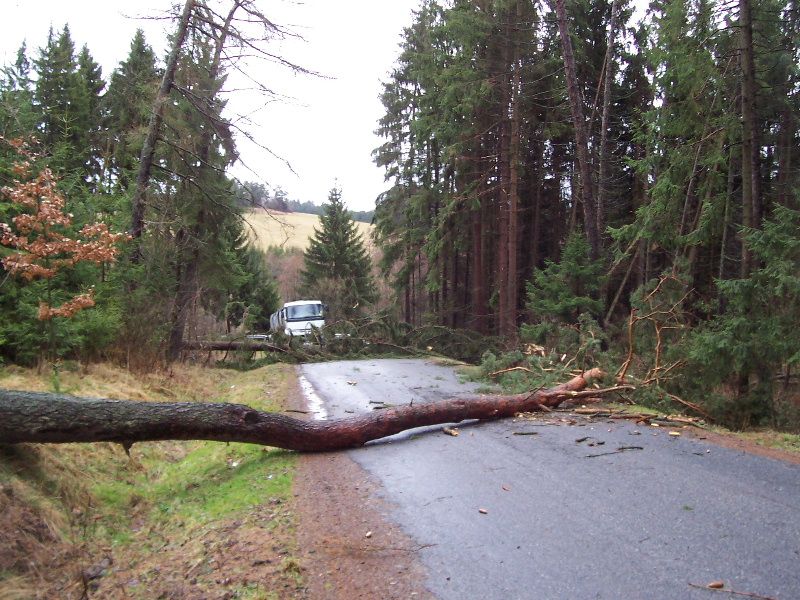 Hasiči na Vysočině odklízeli popadané stromy
