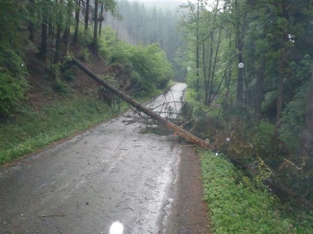 Hasiči na Vysočině odstraňují stromy popadané na silnice