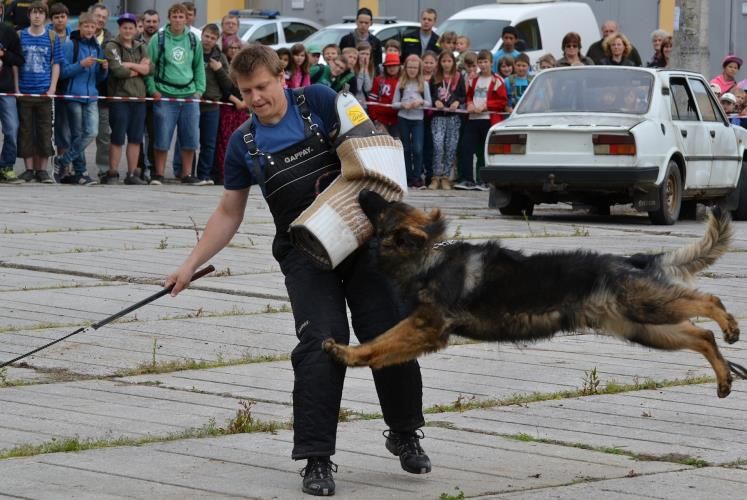 obrázek: Hasiči, zdravotníci a policisté se představili v Kamenici nad Lipou