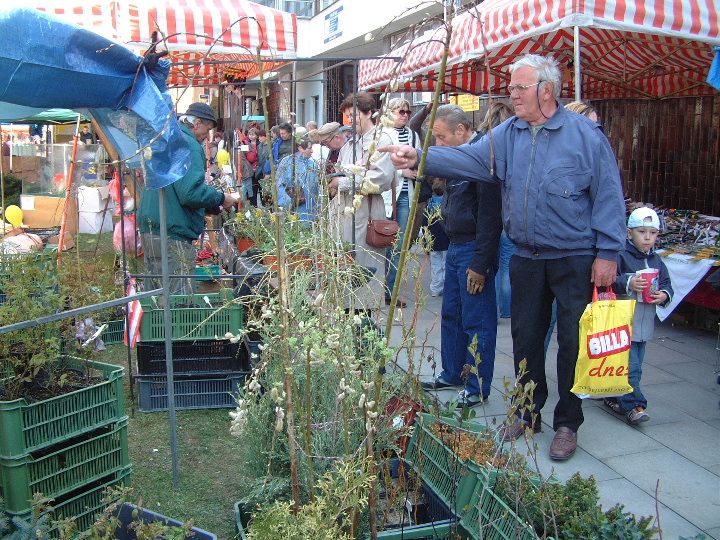 obrázek: Havlíčkův Brod ovládnou o víkendu zahrádkáři a pěstitelé