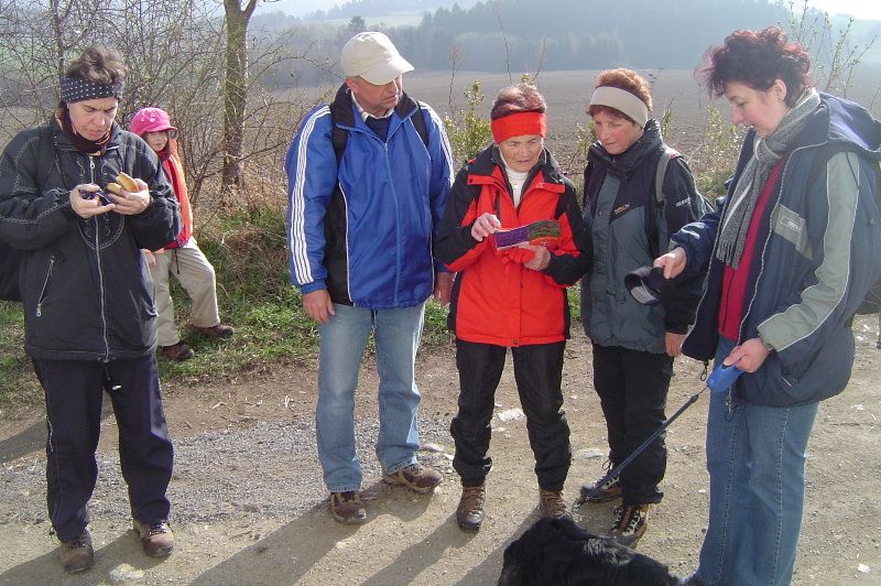 obrázek: Hledání jara se na Jihlavsku vydařilo