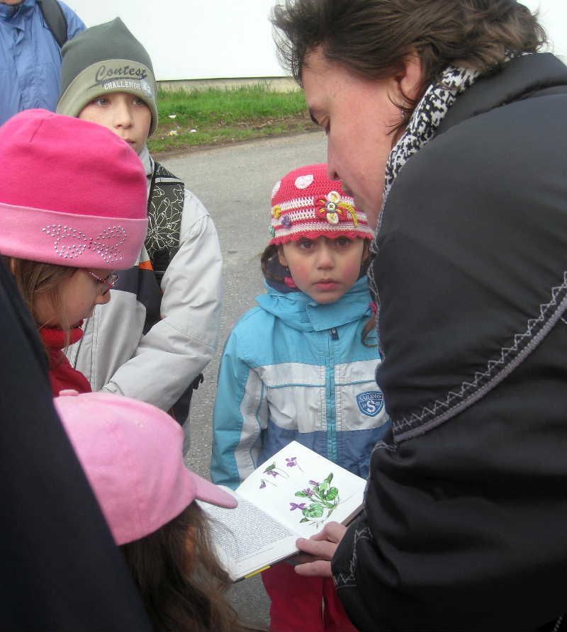 obrázek: Hledání jara se na Jihlavsku vydařilo