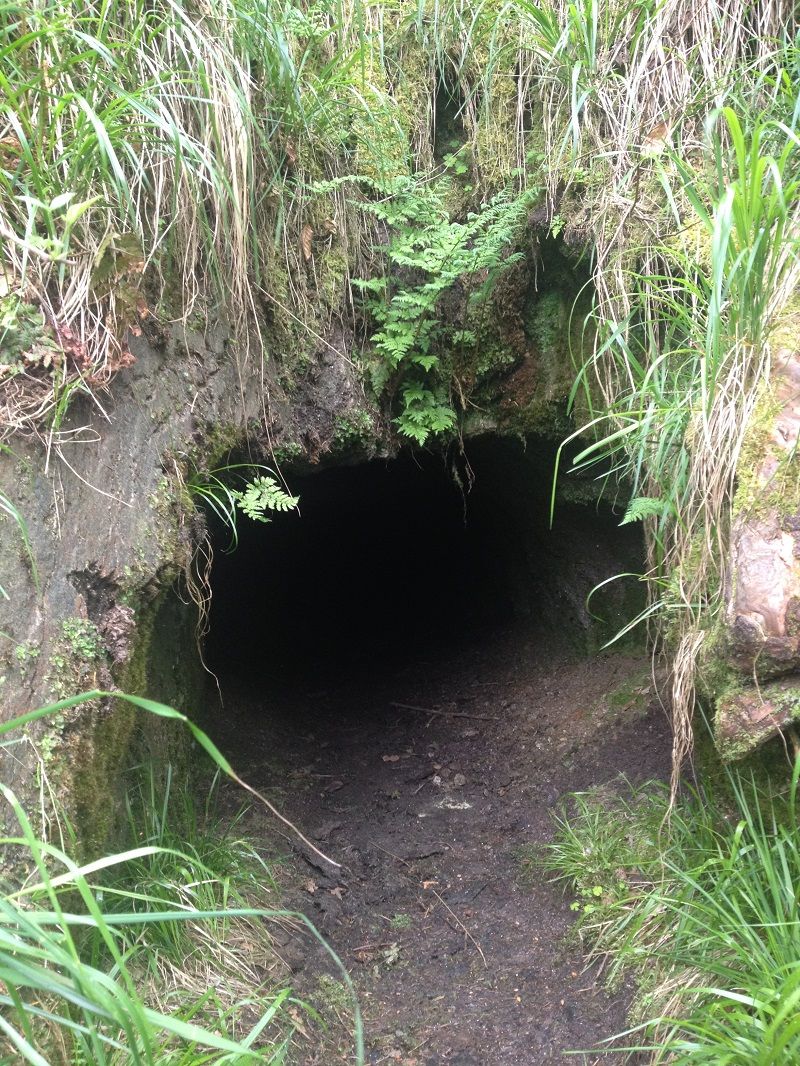 Horácké muzeum zve na komentované prohlídky i na pochod