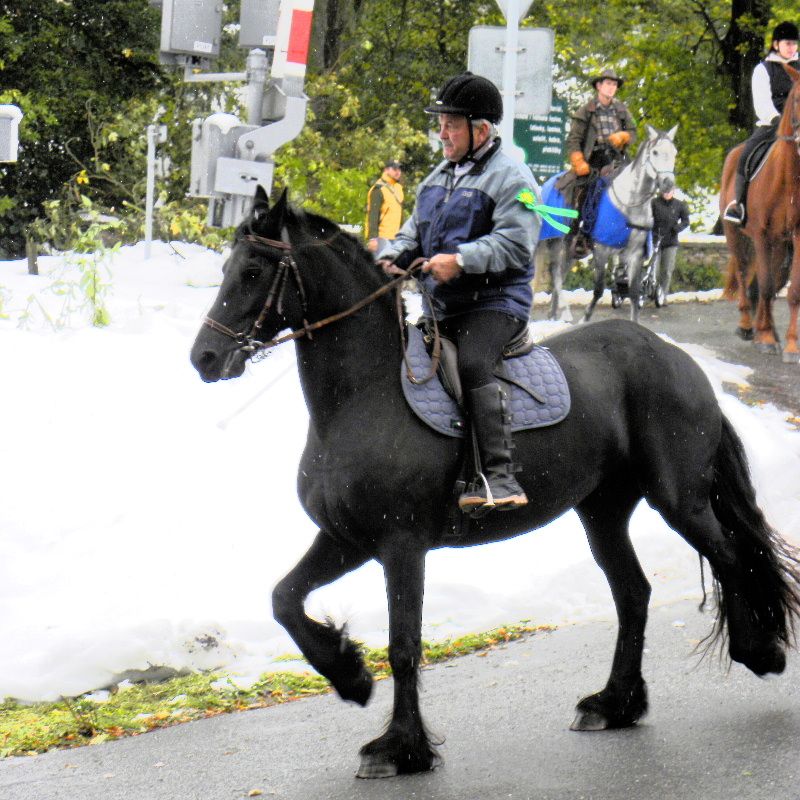 obrázek: Hubertova jízda v Rozsochatci