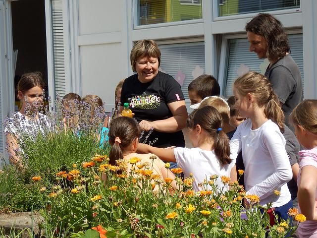 Hurá prázdniny s Třebíčským centrem