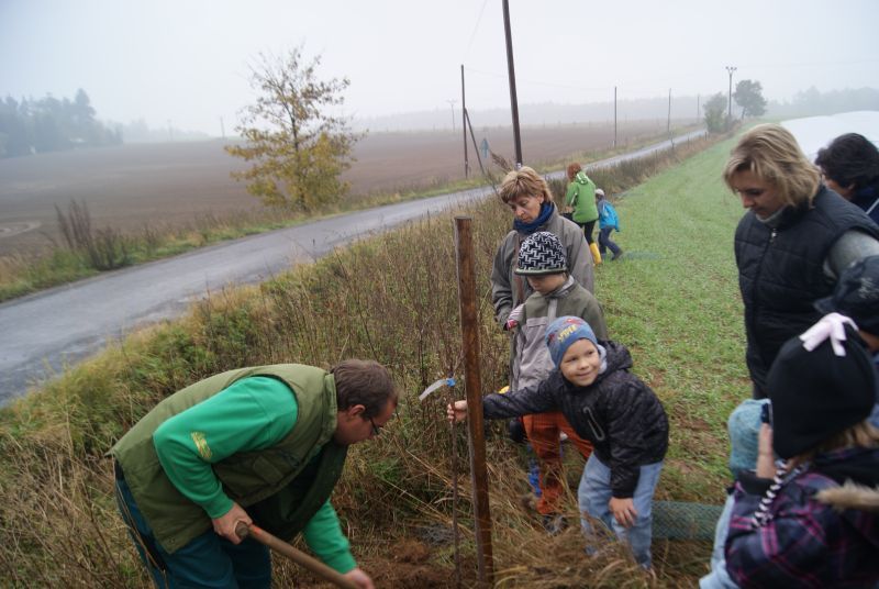 I Budějovičtí se zapojili do záslužné akce, vysazovali stromy