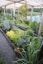 I rodinné firmy mohou být úspěšné. Příkladem jsou havlíčkobrodské Okrasné rostliny Křesťan