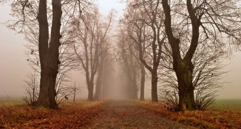 obrázek: Jan Slovák představí v Novém Městě na Moravě své fotografie