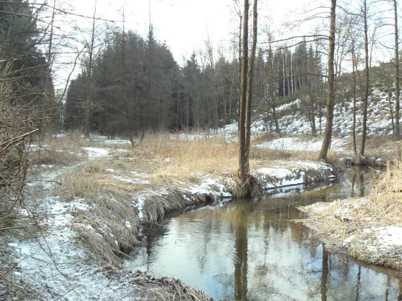 Jarní Vysočinou s brodskými turisty po zasněžených cestách